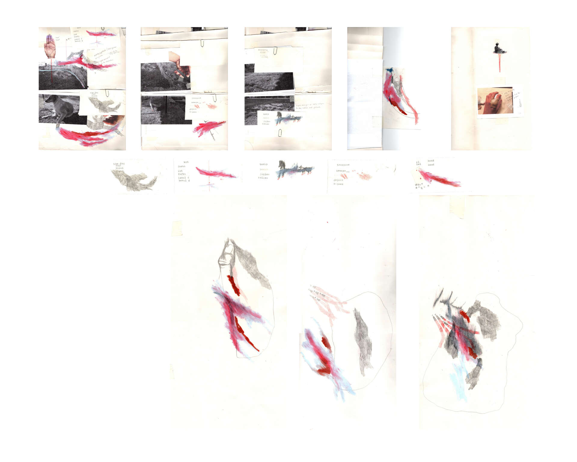 Ipek Avanoglu cover 04